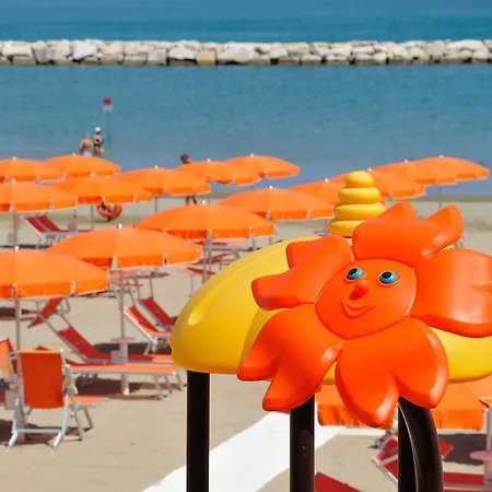 酒店 金星酒店 4*