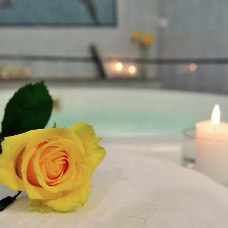 金星酒店 酒店 加比切马莱